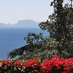 Vomero